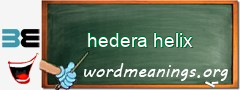 WordMeaning blackboard for hedera helix